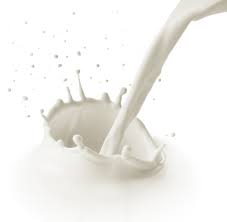 Mléko a jeho důležitost