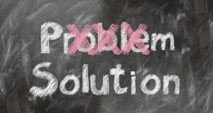 Hmyz ve městě nikdy nespí – proč jsou dezinsekce v létě zásadní pro zdraví i pohodl